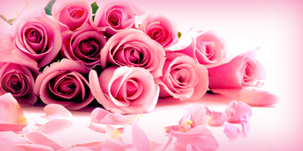 Rose Day - Do you know what color and how many you should gift?