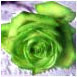 bakerjonz@gmail.com