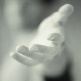 angel_weengs