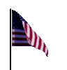 dirving@usa.com