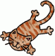 BklynCatLady