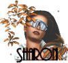 sswett@gmail.com