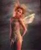 DebtFairy