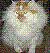 annmarie0205