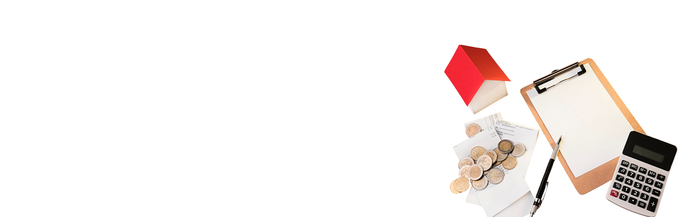 Debt Settlement Calculator