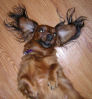 Profile picture for user beepshouse@comcast.net