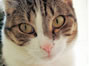 Profile picture for user jessie@enfuzed.com