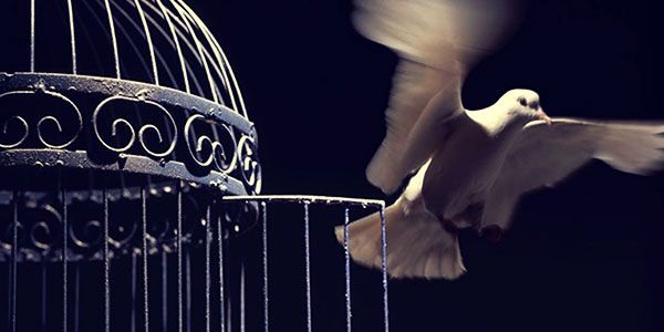 Understanding debt slavery: How can you break the burden? Understanding debt slavery: How can you break the burden?