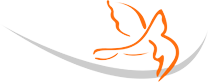 DebtConsolidationCare [A+ on BBB] Logo